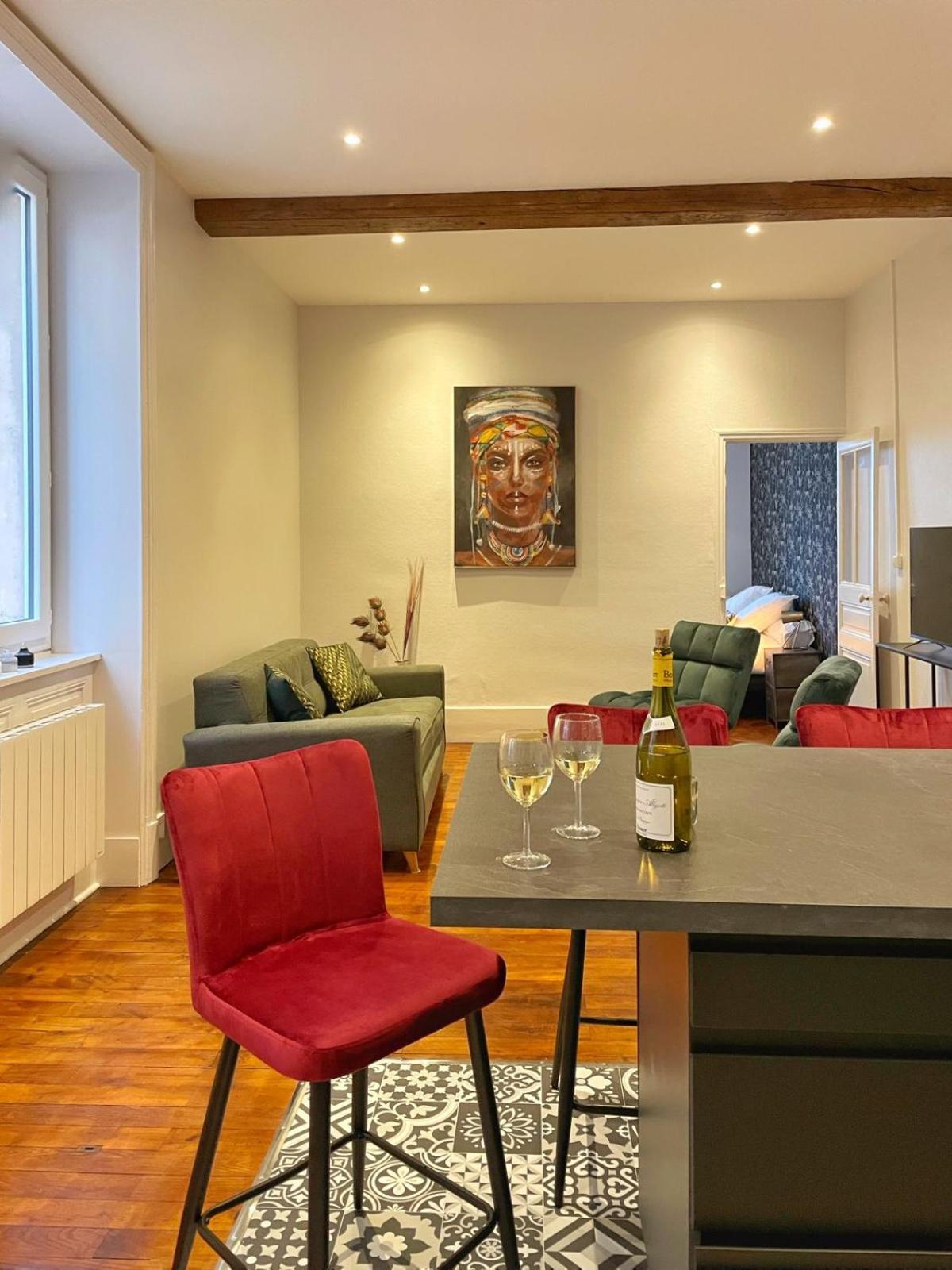 Center Macon Charmant Appartement Avec Vue Sur La Saone エクステリア 写真